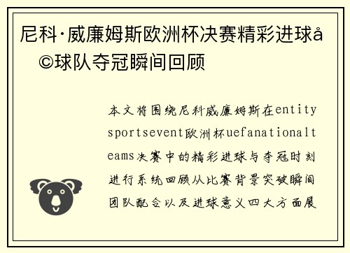 尼科·威廉姆斯欧洲杯决赛精彩进球助球队夺冠瞬间回顾